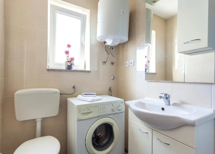 L&s مالينسكا